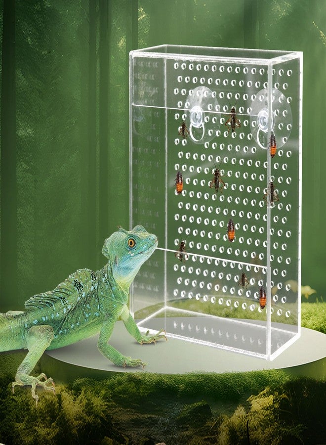 Neeenn Bearded Dragon Feeder, Chameleon Bug Bowl, Transparentk Acrylic Reptile Feeder Box, Wall-Mounted Insect Food Dish with Suction Cups, Tank and Aquarium Accessories for Lizard Bearded Dragon Gecko Frog - Image 1